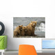 Mother Grizzly With 2nd Year Cubs By River Wall Mural