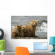 Mother Grizzly With 2nd Year Cubs By River Wall Mural