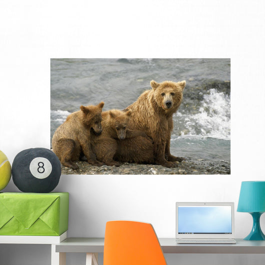 Mother Grizzly With 2nd Year Cubs By River Wall Mural