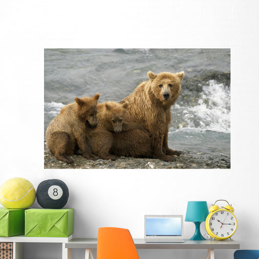 Mother Grizzly With 2nd Year Cubs By River Wall Mural