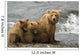 Mother Grizzly With 2nd Year Cubs By River Wall Mural
