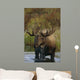 Bull Moose In Pond Near Eielson Visitor Center Ak In Denali Np Summer Wall Mural