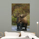 Bull Moose In Pond Near Eielson Visitor Center Ak In Denali Np Summer Wall Mural