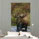 Bull Moose In Pond Near Eielson Visitor Center Ak In Denali Np Summer Wall Mural