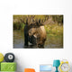 Bull Moose In Pond Near Eielson Visitor Center Ak In Denali Np Summer Wall Mural