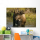 Bull Moose In Pond Near Eielson Visitor Center Ak In Denali Np Summer Wall Mural