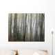 Foggy Aspen Forest Near Ester Interior Ak Autumn Wall Mural