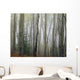 Foggy Aspen Forest Near Ester Interior Ak Autumn Wall Mural