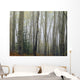 Foggy Aspen Forest Near Ester Interior Ak Autumn Wall Mural
