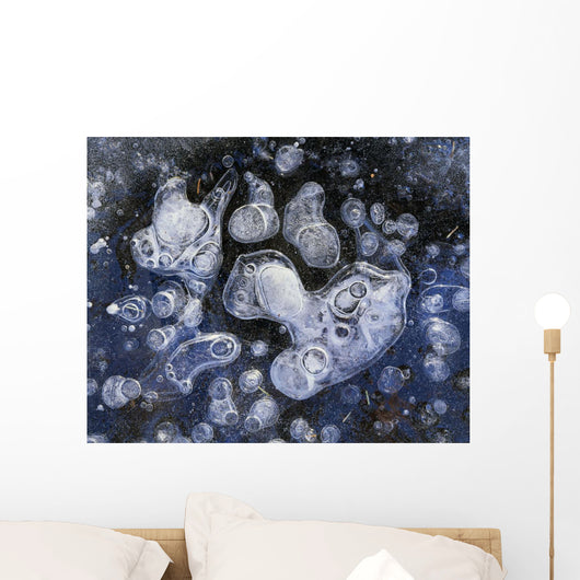 Frozen Bubbles Wall Mural