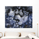 Frozen Bubbles Wall Mural