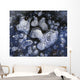 Frozen Bubbles Wall Mural