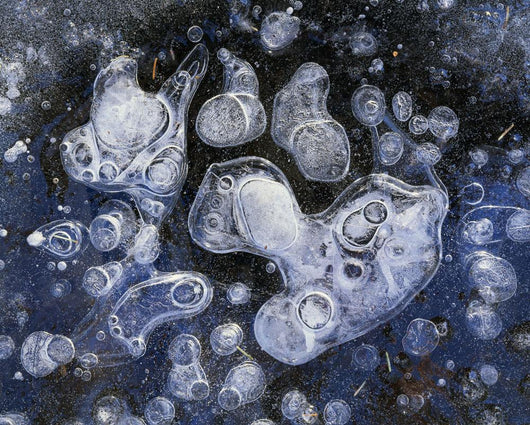 Frozen Bubbles Wall Mural