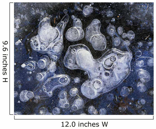 Frozen Bubbles Wall Mural