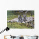 Pair Of Lynx Rest In Mossy Opening In Dense Spruce Forest Wall Mural