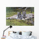 Pair Of Lynx Rest In Mossy Opening In Dense Spruce Forest Wall Mural