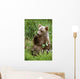 Young Brown Bear Cub Sitting Wall Mural