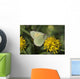 Close Up Of The Butterfly Hecla Sulphur On A Northern Goldenrod Flower Wall Mural