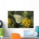 Close Up Of The Butterfly Hecla Sulphur On A Northern Goldenrod Flower Wall Mural