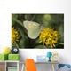 Close Up Of The Butterfly Hecla Sulphur On A Northern Goldenrod Flower Wall Mural