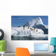 Adelie Penguins Jump From Iceberg Paulet Is Antarctic Summer Wall Mural