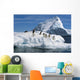 Adelie Penguins Jump From Iceberg Paulet Is Antarctic Summer Wall Mural