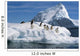 Adelie Penguins Jump From Iceberg Paulet Is Antarctic Summer Wall Mural