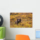 Portrait Of An Adult Brown Bear Amongst The Fall Foliage Wall Mural
