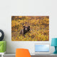 Portrait Of An Adult Brown Bear Amongst The Fall Foliage Wall Mural