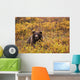 Portrait Of An Adult Brown Bear Amongst The Fall Foliage Wall Mural