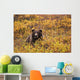 Portrait Of An Adult Brown Bear Amongst The Fall Foliage Wall Mural