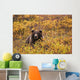 Portrait Of An Adult Brown Bear Amongst The Fall Foliage Wall Mural