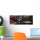 Underwater View Of A Dominant Male Sockeye Salmon *Mouth Gaping* Wall Mural
