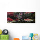 Underwater View Of A Dominant Male Sockeye Salmon *Mouth Gaping* Wall Mural