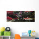 Underwater View Of A Dominant Male Sockeye Salmon *Mouth Gaping* Wall Mural