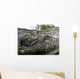 Pink Salmon Homing To Their Natal Stream To Spawn, Hartney Bay, Alaska Wall Mural