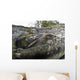 Pink Salmon Homing To Their Natal Stream To Spawn, Hartney Bay, Alaska Wall Mural