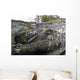Pink Salmon Homing To Their Natal Stream To Spawn, Hartney Bay, Alaska Wall Mural