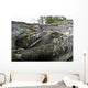 Pink Salmon Homing To Their Natal Stream To Spawn, Hartney Bay, Alaska Wall Mural