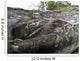 Pink Salmon Homing To Their Natal Stream To Spawn, Hartney Bay, Alaska Wall Mural