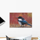 Close Up View Of A Black-Billed Magpie Standing Wall Mural