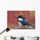 Close Up View Of A Black-Billed Magpie Standing Wall Mural