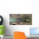Underwater View Of A Sockeye Salmon Wall Mural