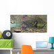 Underwater View Of A Sockeye Salmon Wall Mural