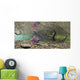 Underwater View Of A Sockeye Salmon Wall Mural