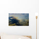 Underwater View Of Chum Salmon Fry Wall Mural