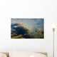 Underwater View Of Chum Salmon Fry Wall Mural