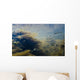 Underwater View Of Chum Salmon Fry Wall Mural