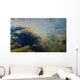 Underwater View Of Chum Salmon Fry Wall Mural