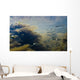 Underwater View Of Chum Salmon Fry Wall Mural